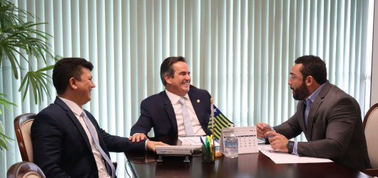 Em Brasília, Ciro Nogueira se reúne com prefeitos e lideranças do Piauí