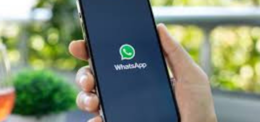 WhatsApp testa recurso que permite pais limitarem contatos dos filhos