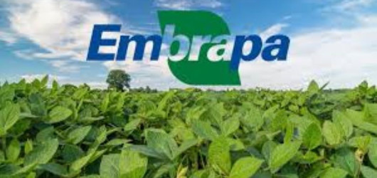 Embrapa abre concurso com 1.027 vagas para níveis fundamental, médio e superior