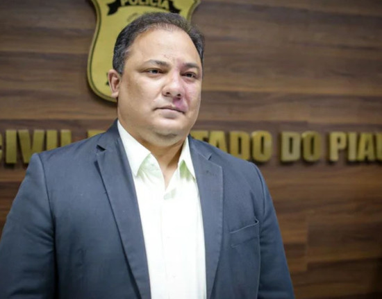 Luccy Keiko diz que Polícia Civil irá analisar recomendação do MPPI sobre redes sociais