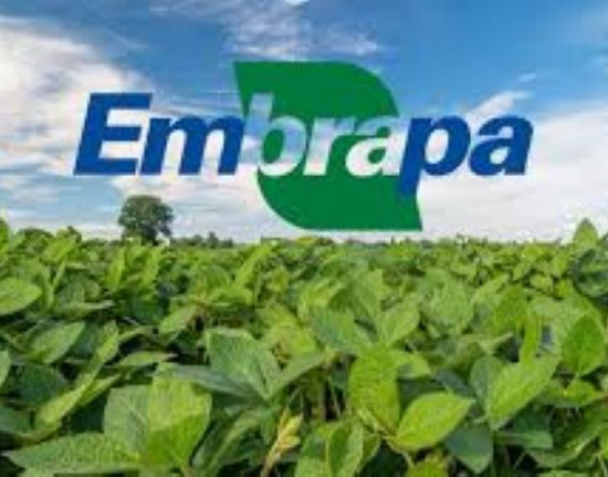 Embrapa abre concurso com 1.027 vagas para níveis fundamental, médio e superior