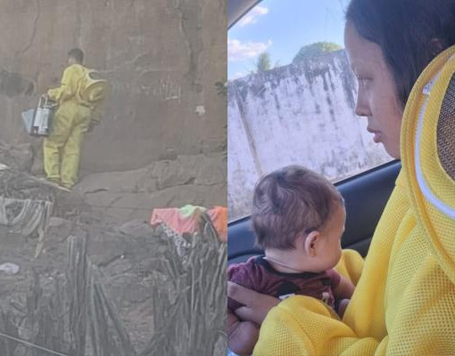 Bombeiros salvam mãe e recém-nascido após ataque de abelhas em Oeiras