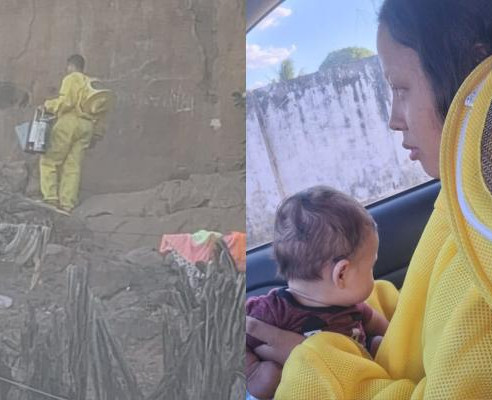 Bombeiros salvam mãe e recém-nascido após ataque de abelhas em Oeiras
