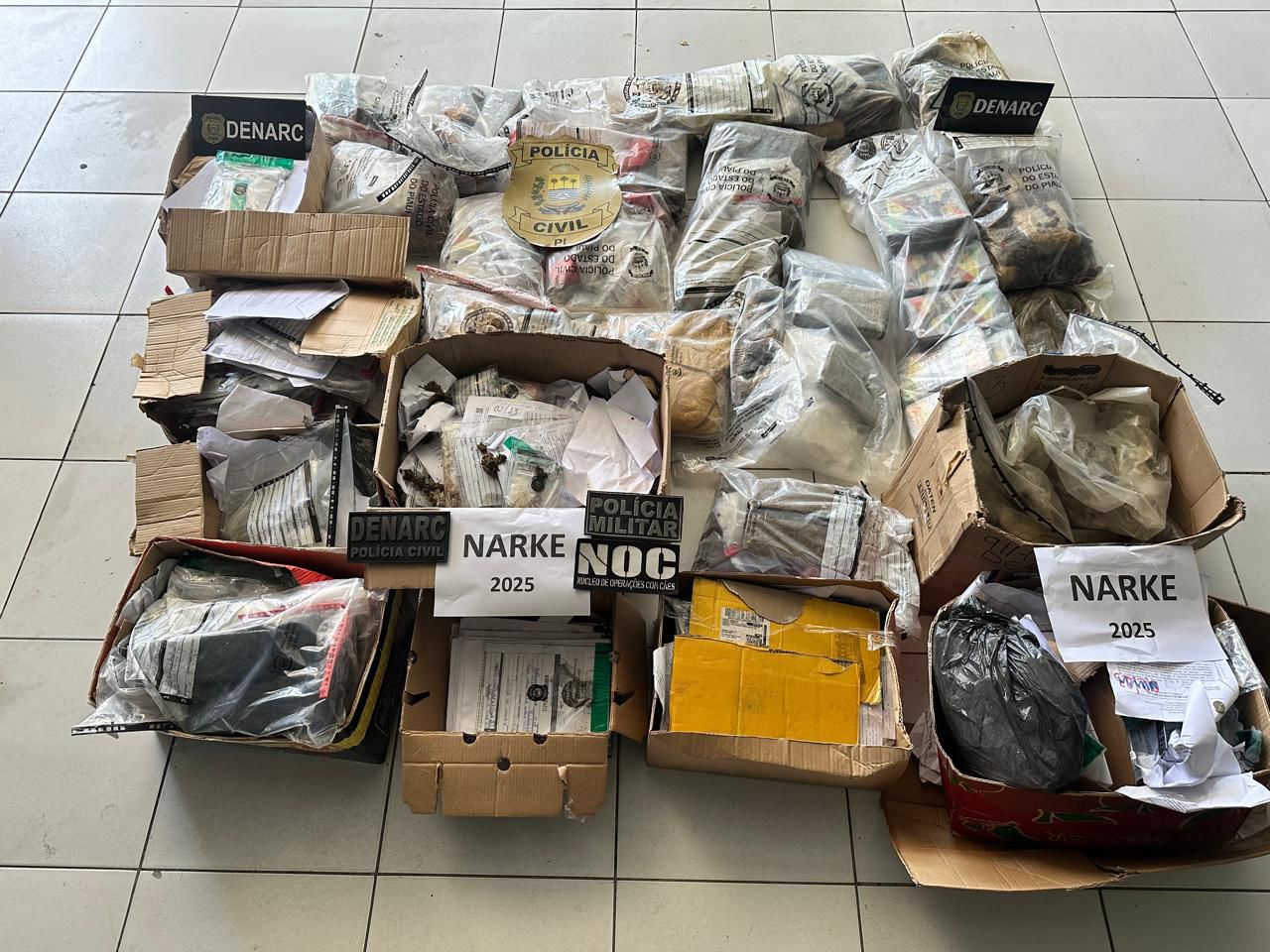 Polícia Civil do Piauí incinera 200 kg de drogas em operação nacional