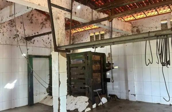 Justiça manda fechar matadouro no Piauí após flagrante de sujeira e urubus