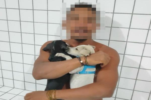 Homem é preso por maus-tratos a filhotes de cachorro em praia no litoral do Piauí
