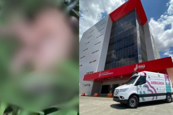 Recém-nascida encontrada em matagal morre na maternidade Evangelina Rosa em Teresina