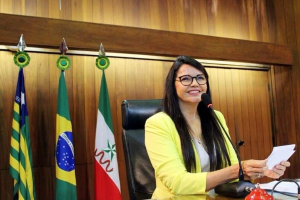 Ex-deputada estadual Teresa Britto é reeleita vice-presidente nacional do PV