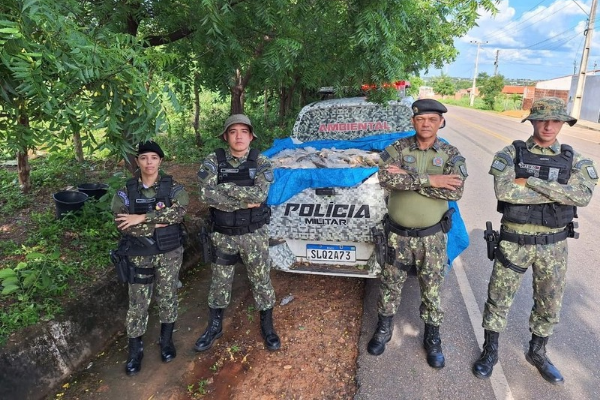 PM apreende quase meia tonelada de peixes transportados ilegalmente