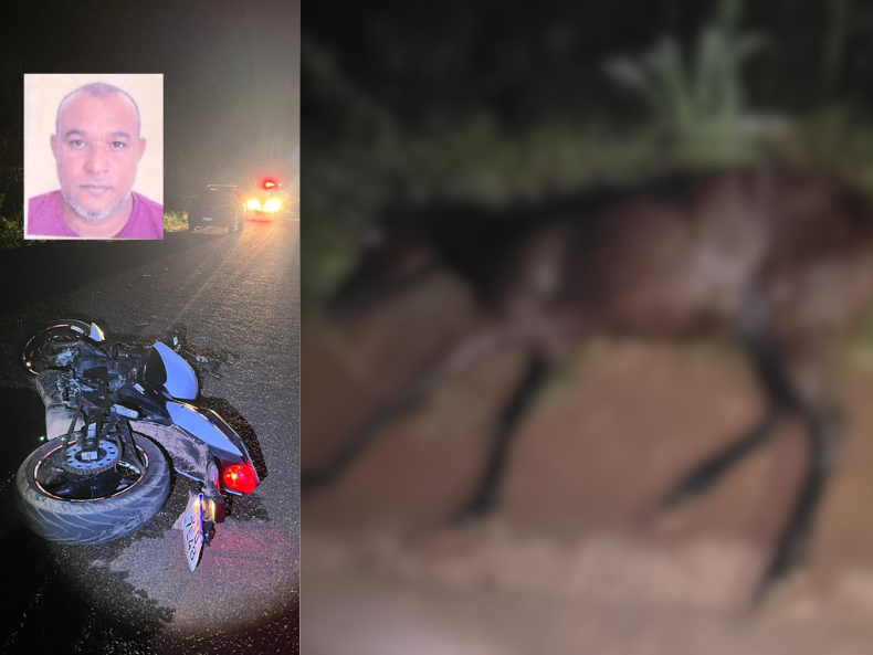 Motociclista morre após colidir com cavalo solto na PI-115, em José de Freitas