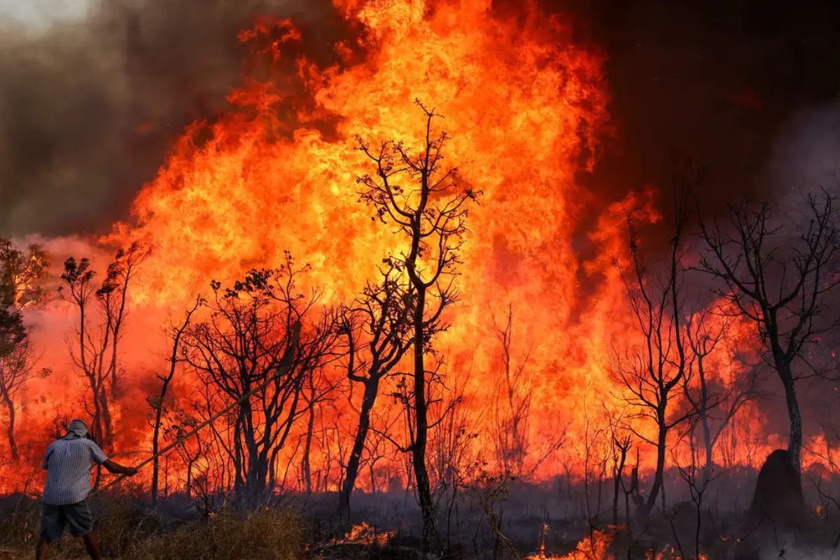 Incêndios na Amazônia e Mata Atlântica em 2024 são os maiores em 40 anos