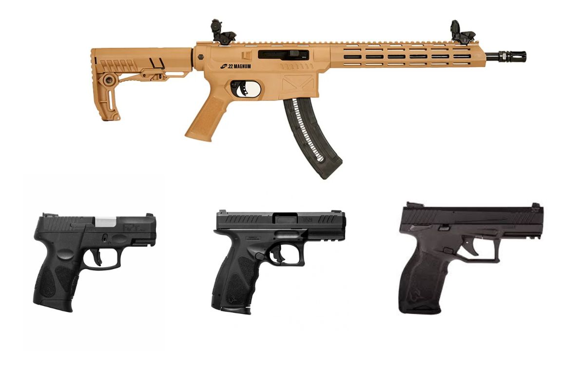 Criminosos roubam fuzil, pistolas e munições de CAC na zona rural de Teresina