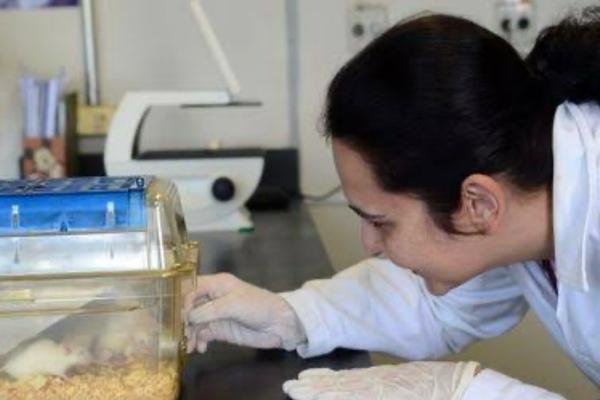 Novo Remédio reduz risco de morte em pacientes com hipertensão arterial pulmonar