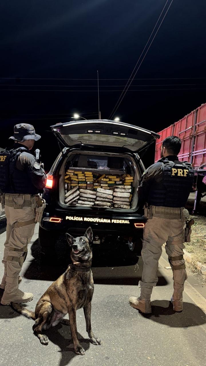 PRF apreende cerca de 230 kg de drogas na BR-316 em Picos