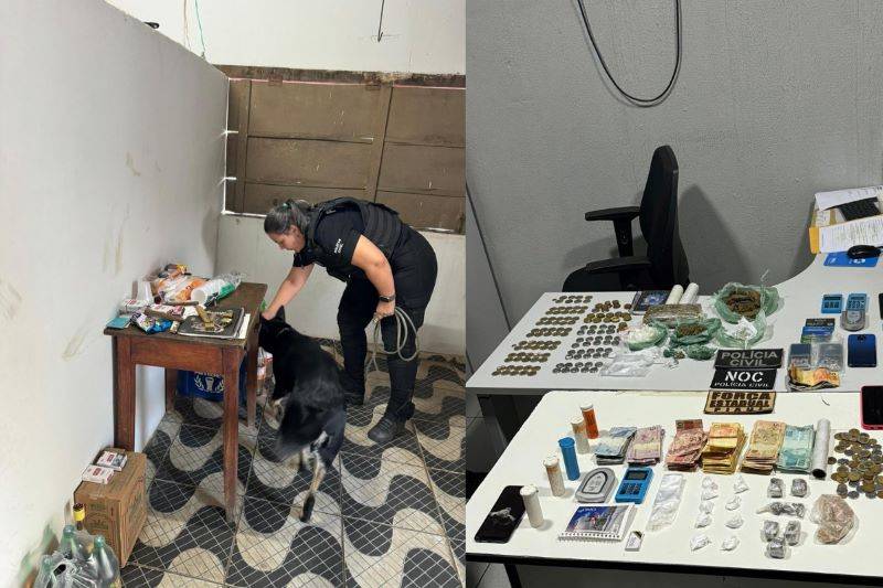Sete pessoas presas e drogas apreendidas em ação contra tráfico no Sul do Piauí