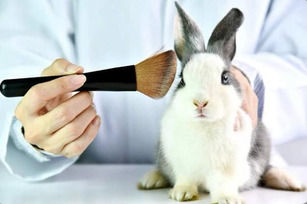 Câmara aprova fim de testes com animais em cosméticos e perfumes