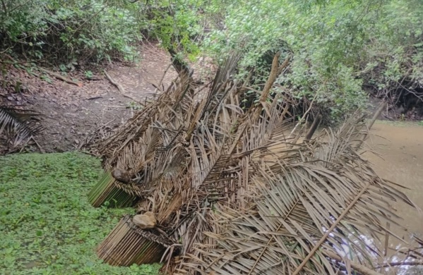 Armadilhas ilegais são destruídas durante operação ambiental em União