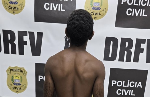 Suspeitos de roubo e furto de veículos são presos em Teresina