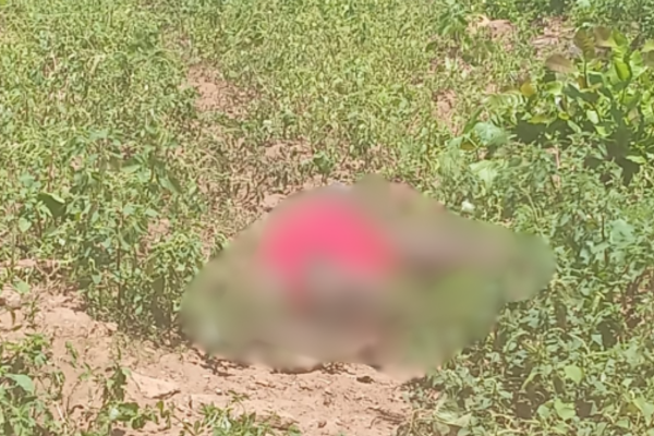 Corpo de mulher é encontrado em terreno em Dom Expedito Lopes