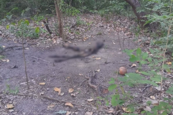 Corpo em estado avançado de decomposição é encontrado em Teresina