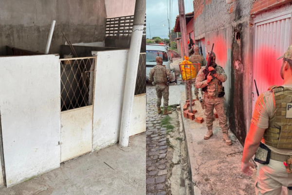 Falsos veterinários são presos por realizar castrações ilegais em Teresina