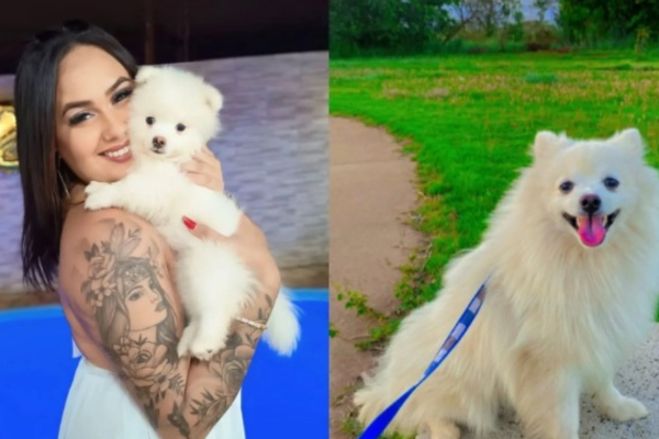 Suspeito de matar cachorro após fim de relacionamento é procurado em SP