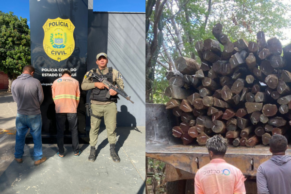 Polícia Militar apreende caminhão com carga irregular de madeira no sul do Piauí
