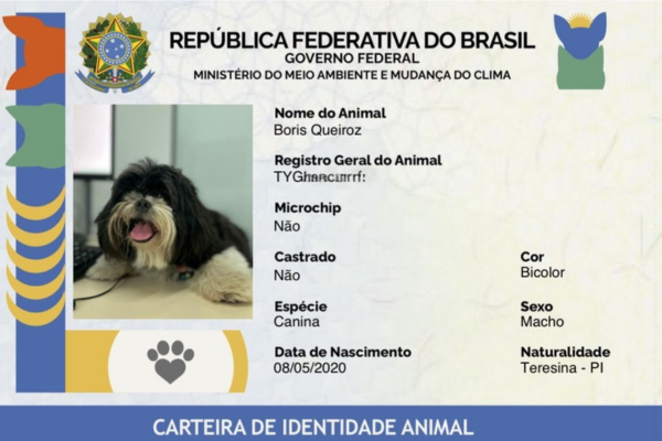 Emissão gratuita de identidade para cães e gatos será feita nesta sexta (23)