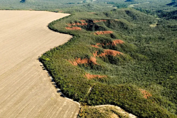 Piauí amplia parceria com a União para proteger biomas até 2027