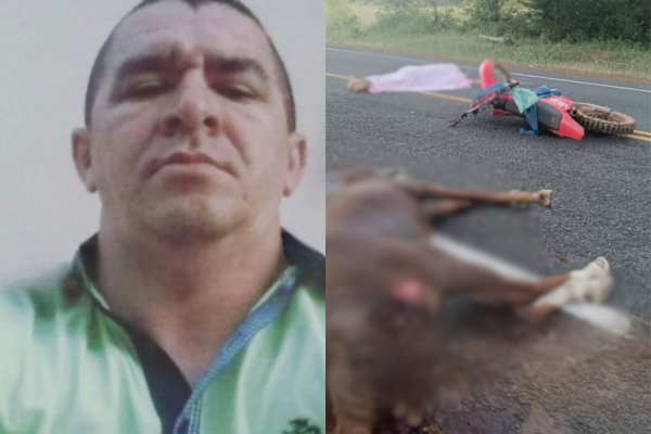 Motociclista morre após colisão com cavalo no Piauí