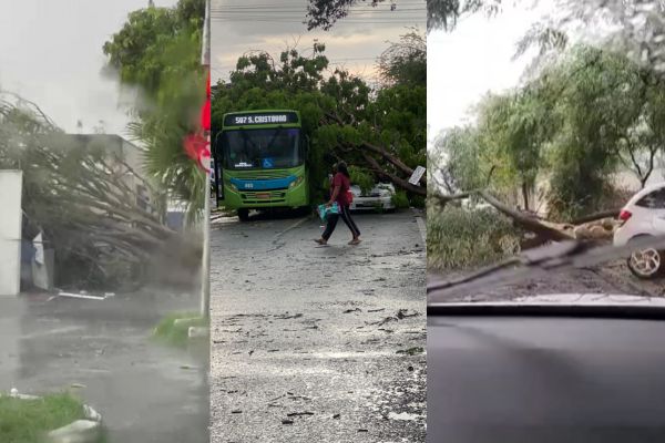 Chuva com ventos de até 75 km/h provoca destruição em Teresina