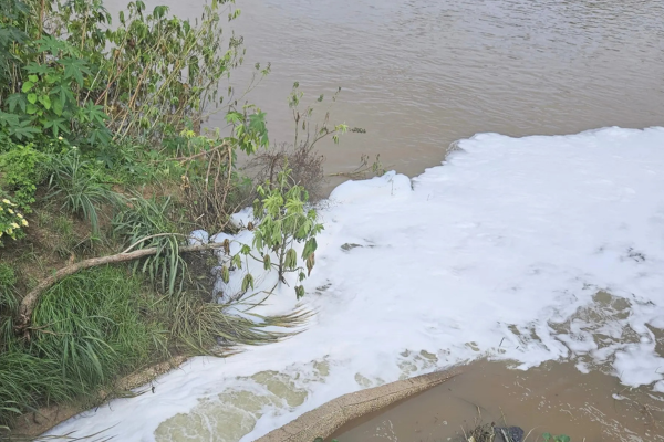 Semarh investiga formação de espuma nas águas do Rio Poti