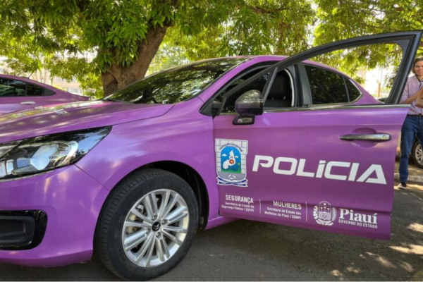 Homem é preso por descumprir medida protetiva e ameaçar mãe idosa no Piauí