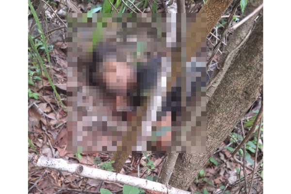 Corpo é encontrado por populares na Zona Rural Sudeste de Teresina