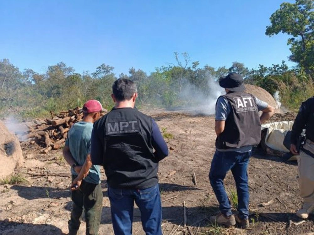 Carvoaria no Piauí é alvo de operação por trabalho análogo à escravidão em  Uruçuí