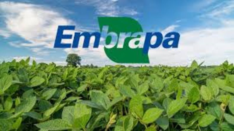 Embrapa abre concurso com 1.027 vagas para níveis fundamental, médio e superior