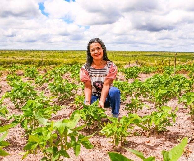 Senado aprova empréstimos de US$ 118 milhões para segurança hídrica e agricultura familiar no Piauí