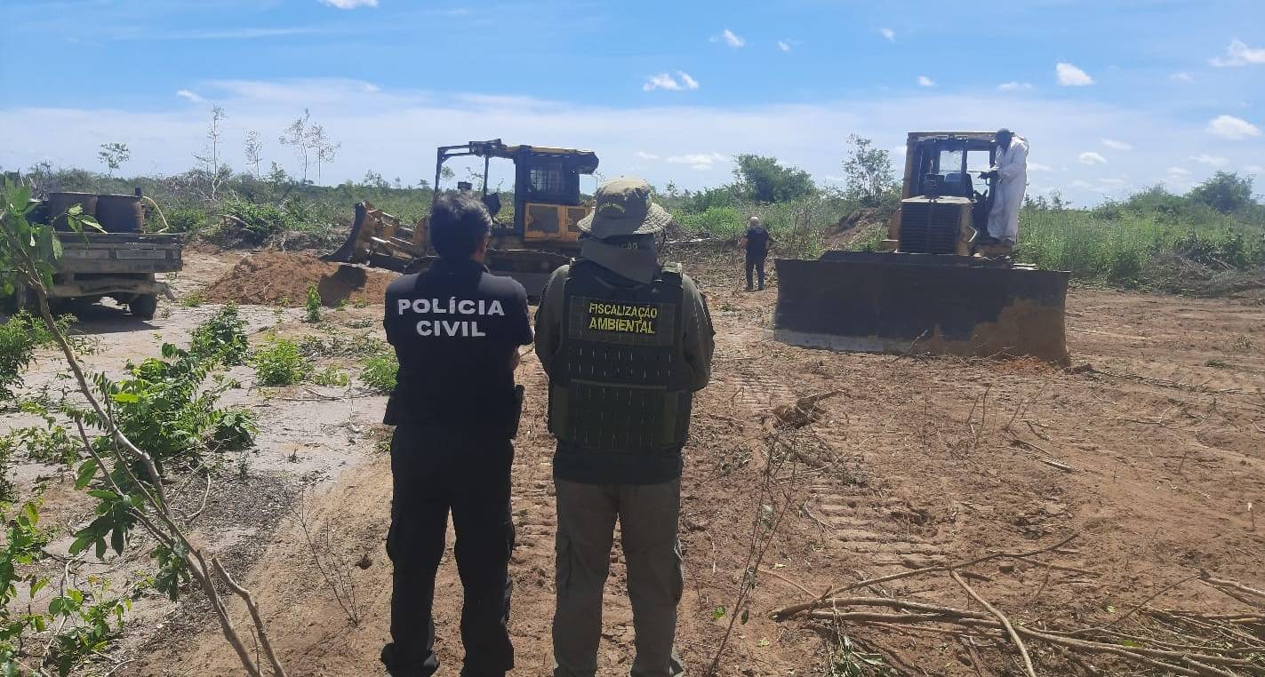 Fazenda no Sul do Piauí é autuada por desmatamento ilegal