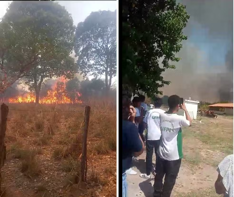 Incêndio atinge matagal na UFPI e aulas na universidade são canceladas