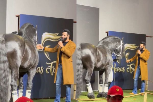 Gusttavo Lima fatura R$ 5 milhões leiloando metade de cavalo estrela da Netflix