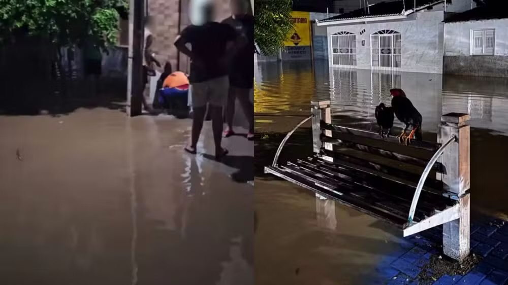 Chuvas deixam 15 famílias desabrigadas cidade Fronteiras, no Piauí