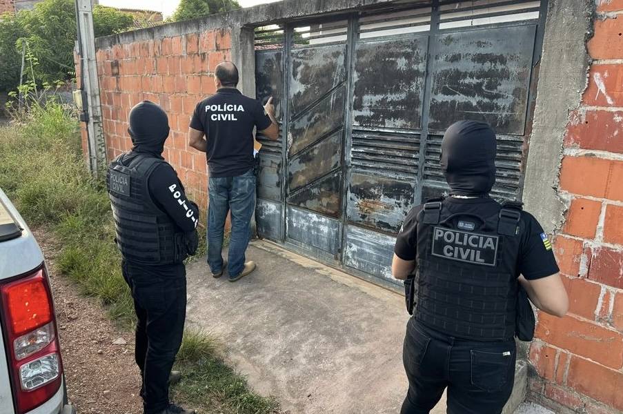Polícia Civil desmantela organização criminosa de roubo de veículos no Piauí