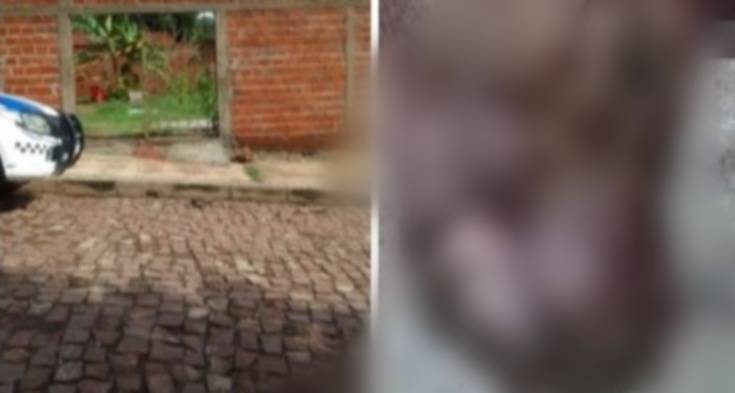 Menina de 8 anos é atacada por Pitbull na cabeça enquanto dormia em Teresina