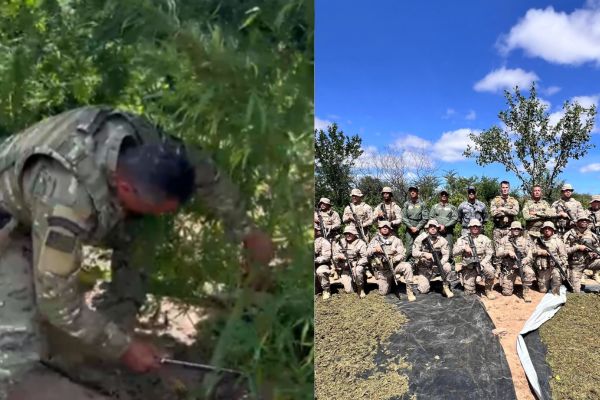 Megaoperação apreende 5 toneladas de maconha na divisa entre Piauí e Pernambuco