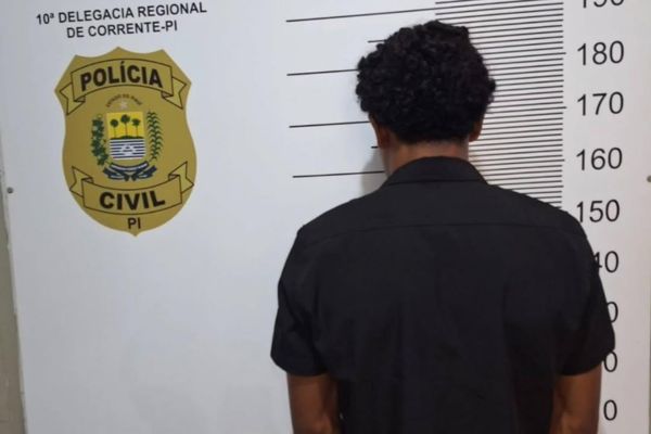 Golpista que se passava por agenciador de empréstimos é preso no Piauí