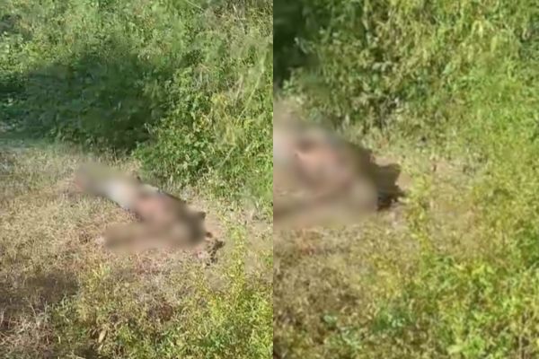 Corpo em avançado estado de decomposição é encontrado na zona Leste