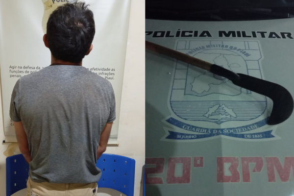 Homem ataca própria a mãe com golpes de foice no interior do estado