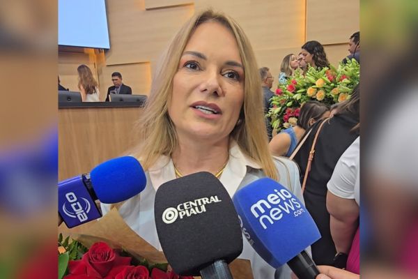 Deputada critica encontro de Themístocles e Ciro: 'Recado não é solução'