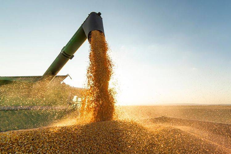 Piauí alcançou o maior valor em exportações do estado deste ano