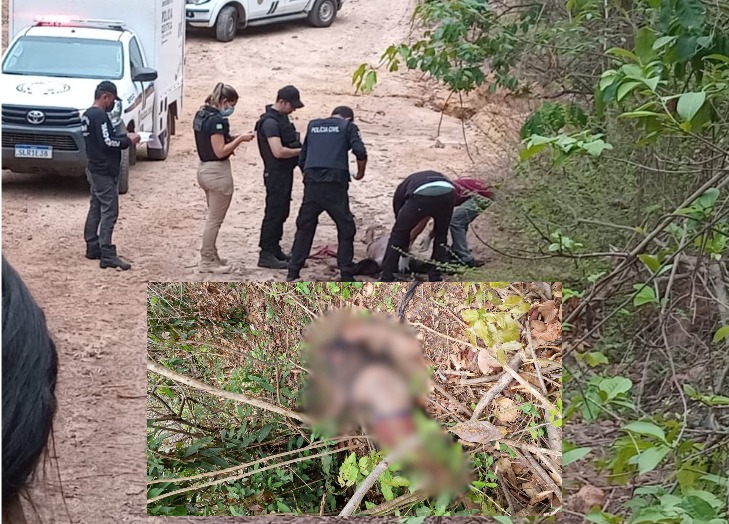 Corpo com marcas de perfurações é encontrado em terreno na Zona Norte de Teresina